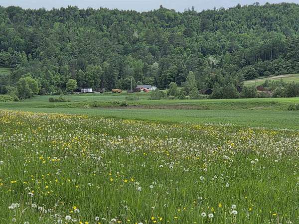 25 Acres of Agricultural & Residential Land for Sale in Concord, Vermont