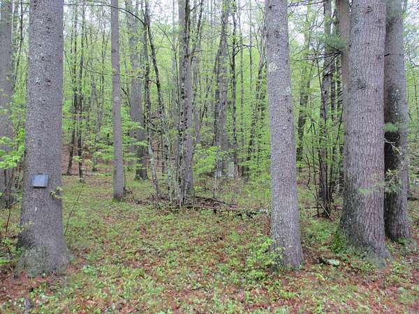 2 Acres of Land for Sale in Barrington, New Hampshire
