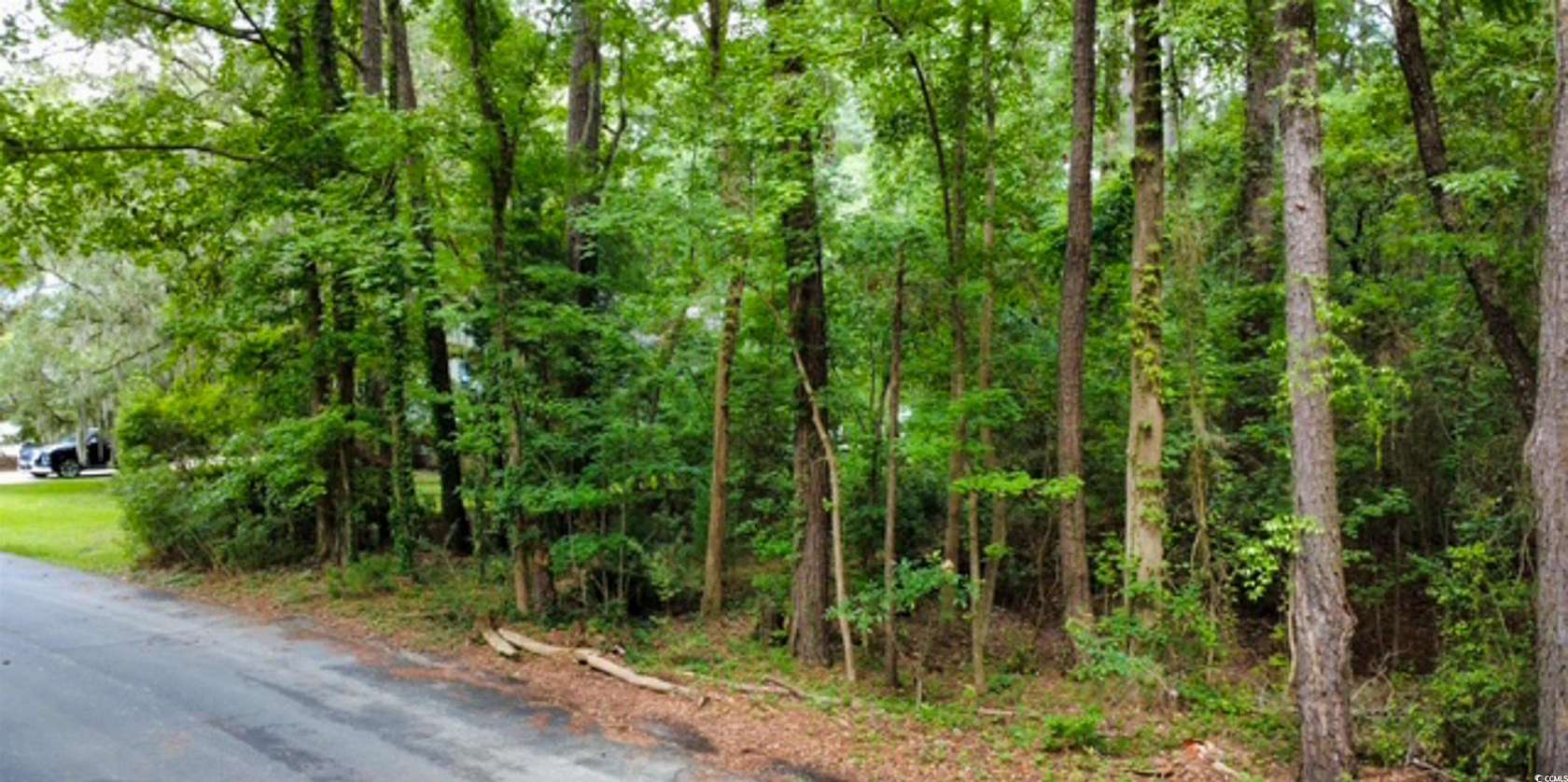 1 Acre of Residential Land for Sale in Georgetown, South Carolina