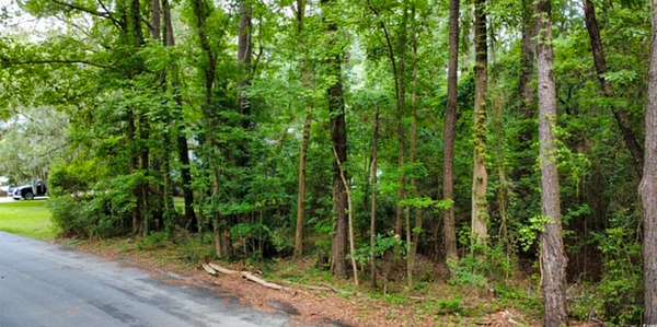 1 Acre of Residential Land for Sale in Georgetown, South Carolina