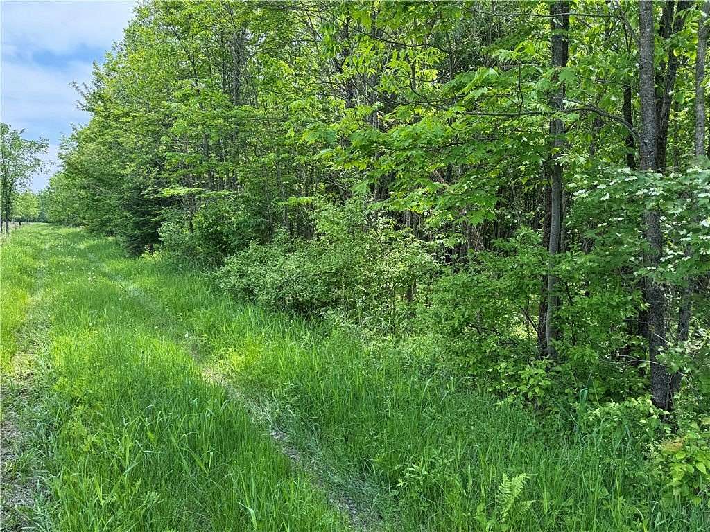 40 Acres of Recreational Land for Sale in Withee, Wisconsin