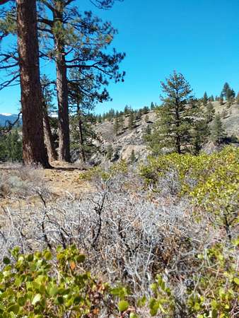 2.59 Acres of Residential Land for Sale in Portola, California