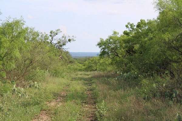 27.6 Acres of Recreational Land for Sale in Brady, Texas