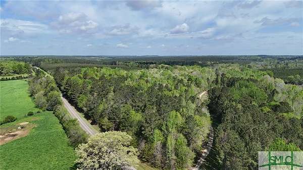 11 Acres of Recreational Land for Sale in Washington, Georgia