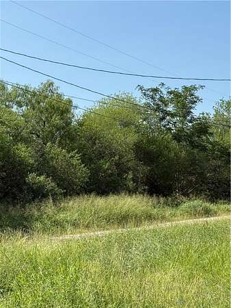 0.16 Acres of Residential Land for Sale in Alice, Texas