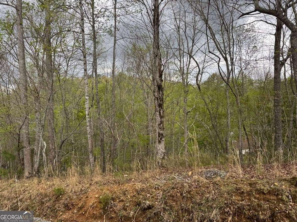 0.71 Acres of Land for Sale in Ellijay, Georgia