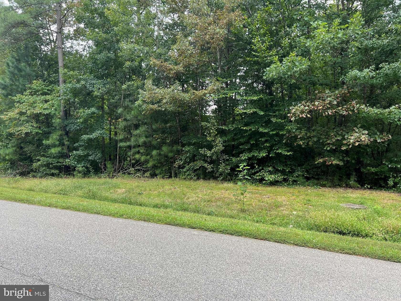 1.1 Acres of Land for Sale in Bumpass, Virginia