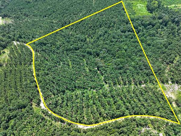 32 Acres of Recreational Land for Sale in Zavalla, Texas