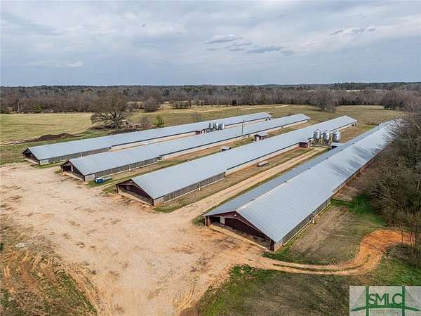 56 Acres of Agricultural Land for Sale in Stephens, Georgia