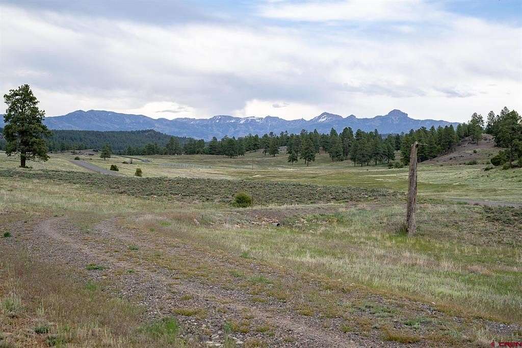 48 Acres of Recreational Land for Sale in Pagosa Springs, Colorado