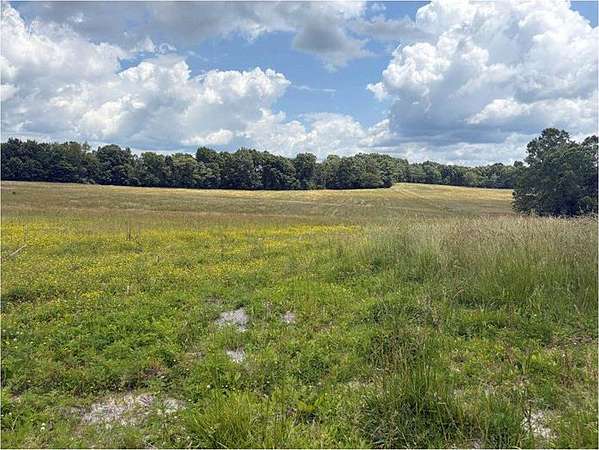 68.5 Acres of Land for Sale in Wallingford, Kentucky