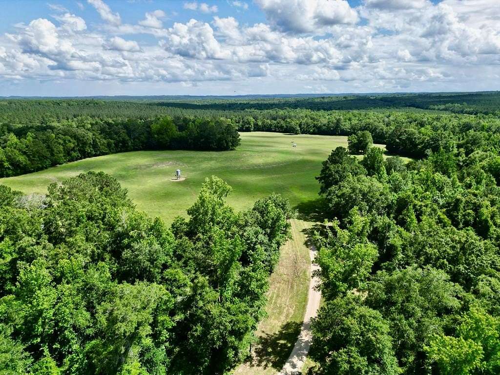 75.5 Acres of Land for Sale in Brundidge, Alabama