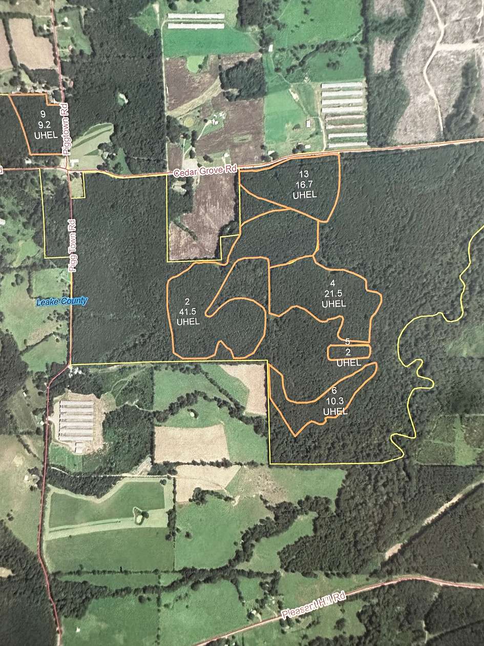 68 Acres of Land for Sale in Lena, Mississippi