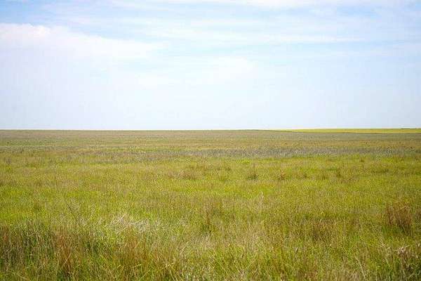 160 Acres of Recreational Land for Sale in Syracuse, Kansas