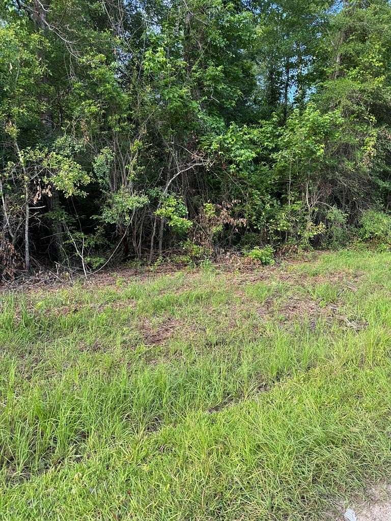 0.88 Acres of Residential Land for Sale in Abbeville, Alabama