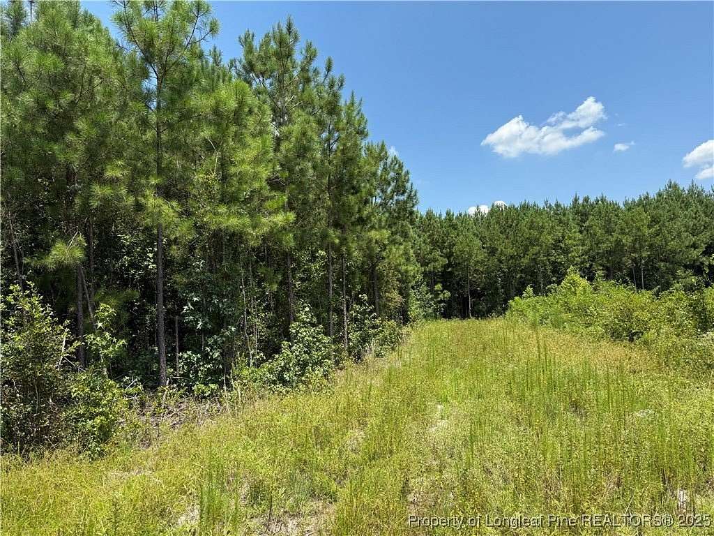 40.6 Acres of Recreational Land for Sale in Fayetteville, North Carolina