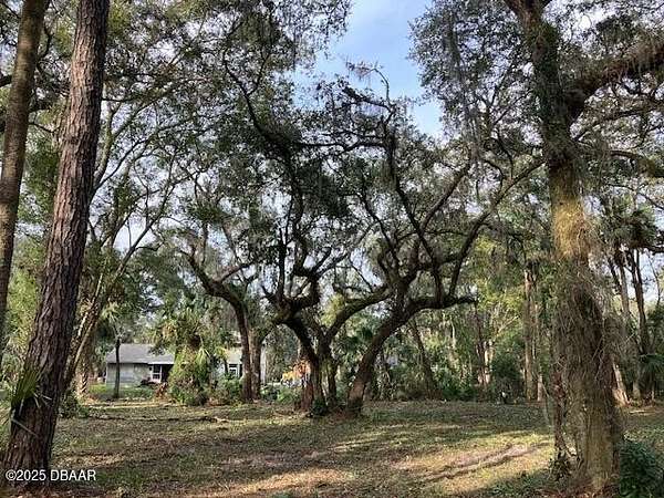 0.28 Acres of Land for Sale in Pierson, Florida