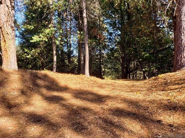 0.16 Acres of Residential Land for Sale in Murphys, California