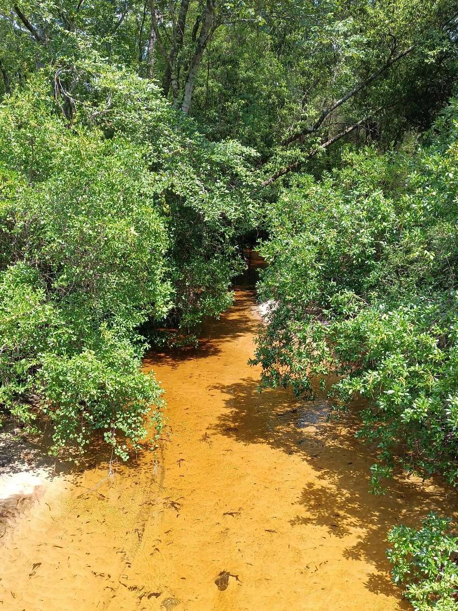 2.6 Acres of Residential Land for Sale in DeFuniak Springs, Florida