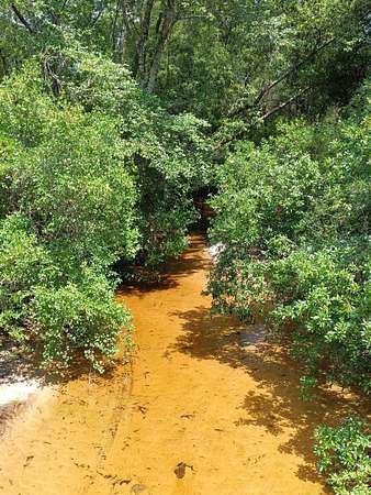 2.6 Acres of Residential Land for Sale in DeFuniak Springs, Florida