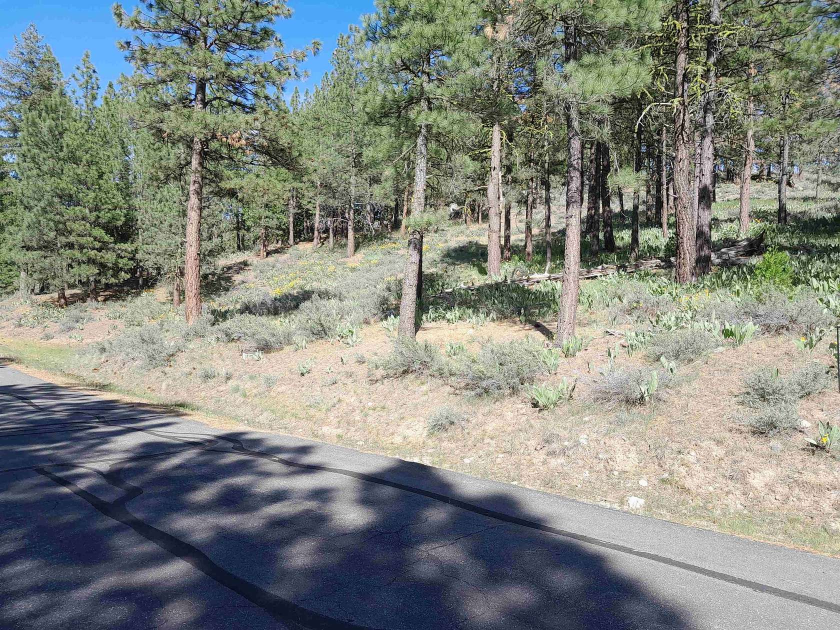 3.2 Acres of Residential Land for Sale in Portola, California