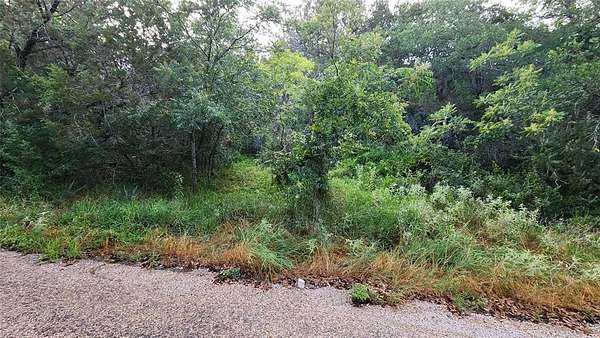 0.11 Acres of Land for Sale in Granbury, Texas