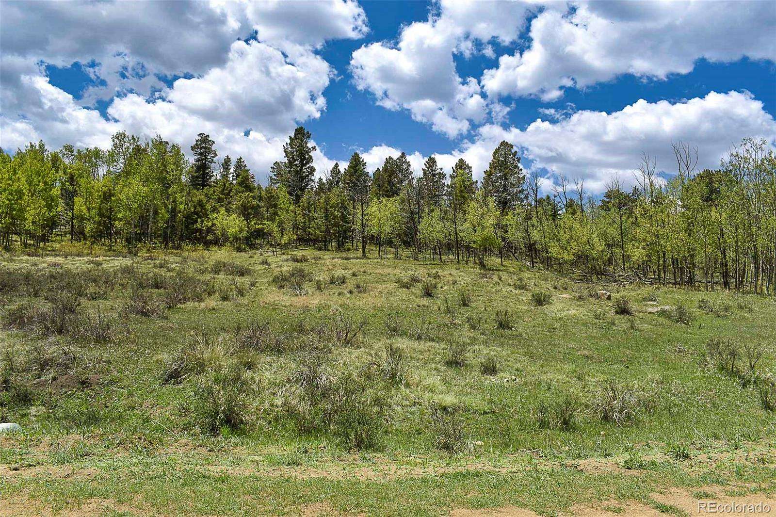 1.3 Acres of Residential Land for Sale in Guffey, Colorado