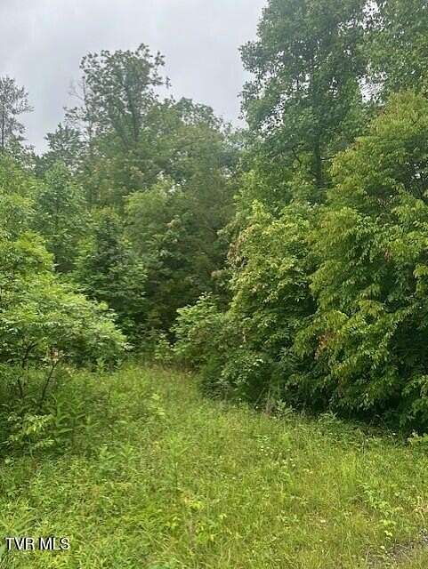 0.76 Acres of Residential Land for Sale in Unicoi, Tennessee