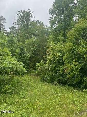 0.76 Acres of Residential Land for Sale in Unicoi, Tennessee