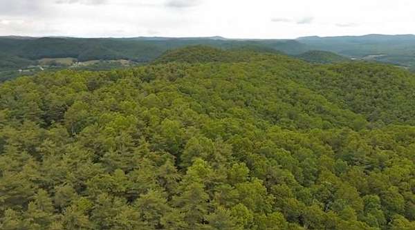 121 Acres of Recreational Land for Sale in Camp Creek, West Virginia