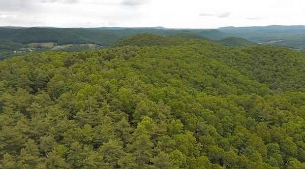 Residential Land for Sale in Camp Creek, West Virginia