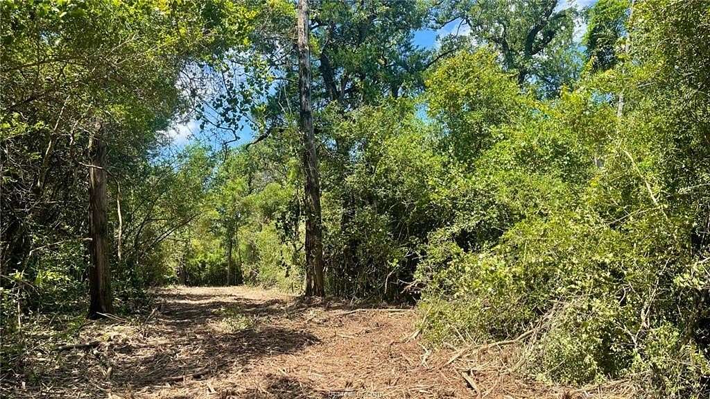 5.75 Acres of Residential Land for Sale in Franklin, Texas