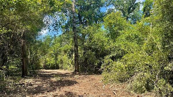 5.75 Acres of Residential Land for Sale in Franklin, Texas
