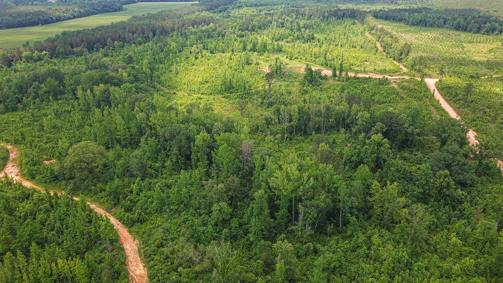 145 Acres of Recreational Land for Sale in Eupora, Mississippi