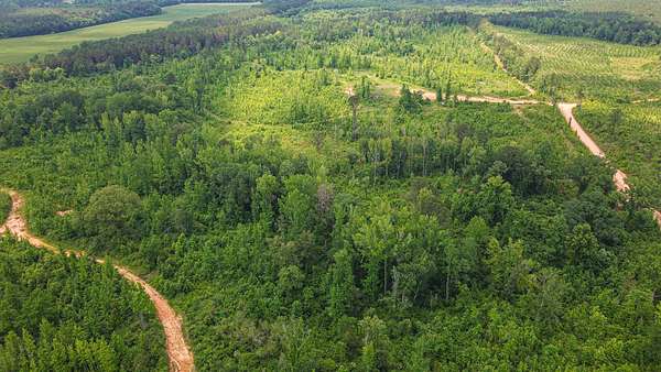 145 Acres of Recreational Land for Sale in Eupora, Mississippi