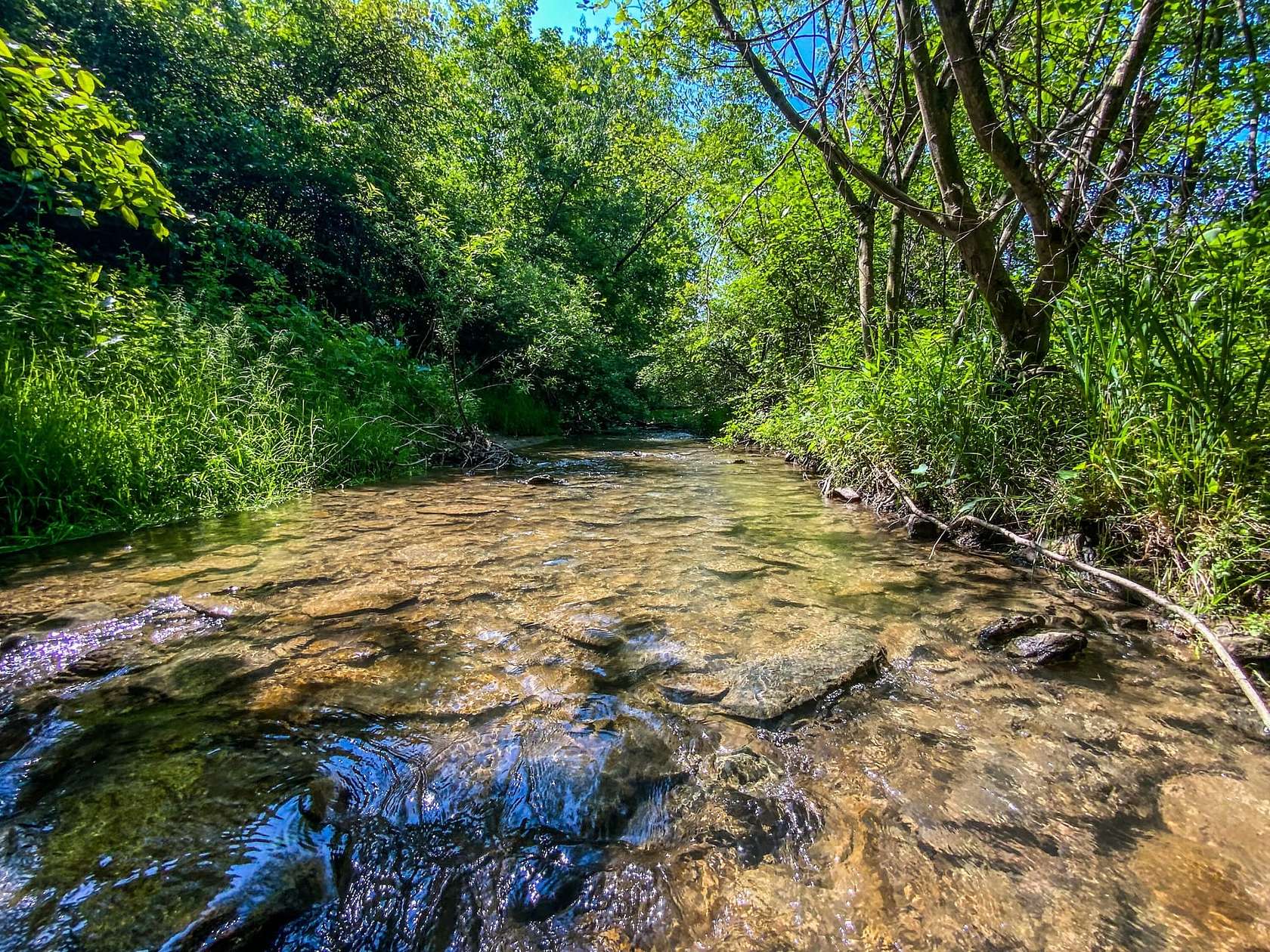 10 Acres of Recreational Land for Sale in Amsterdam, Ohio