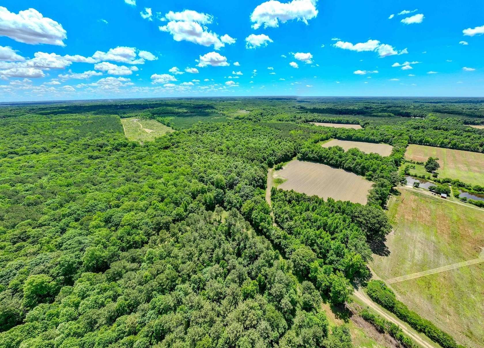 58 Acres of Recreational Land for Sale in Zebulon, North Carolina
