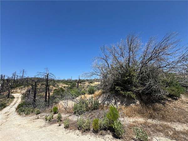 2 Acres of Residential Land for Sale in Berry Creek, California