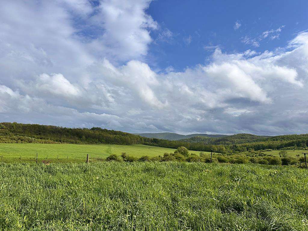 230 Acres of Land for Sale in Westfield, Pennsylvania