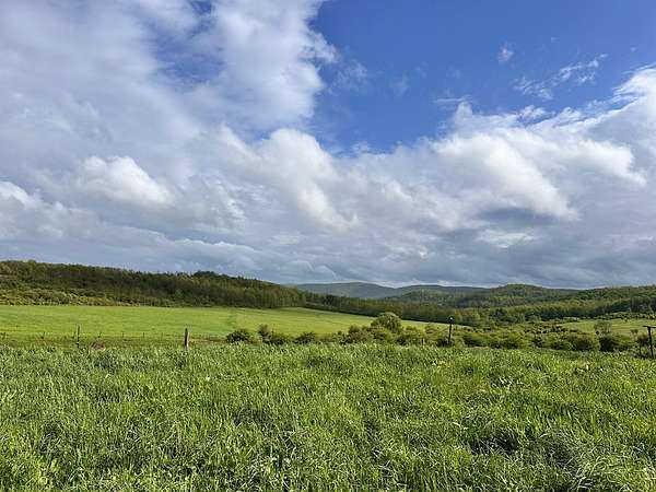 230 Acres of Land for Sale in Westfield, Pennsylvania