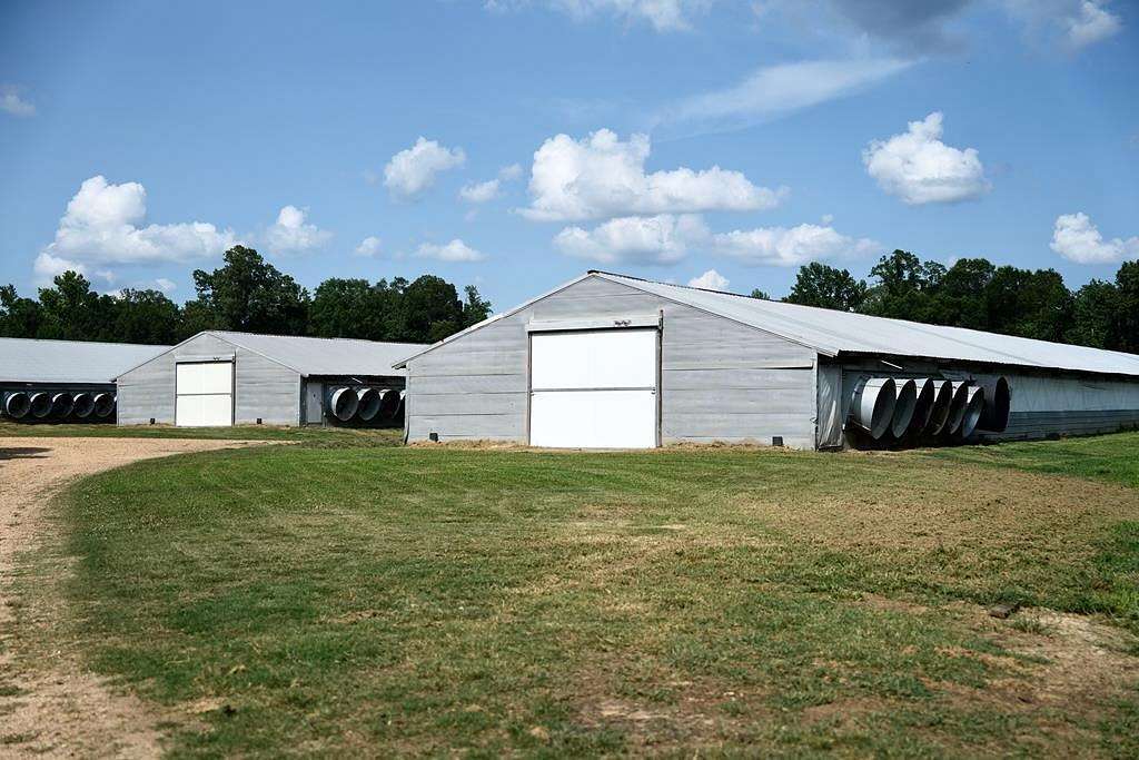 40 Acres of Land with Home for Sale in Pattison, Mississippi