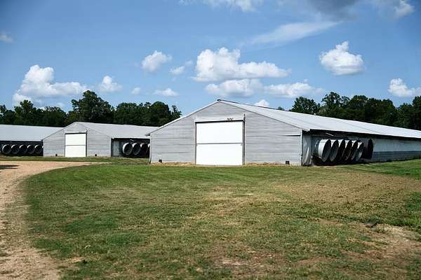 40 Acres of Land with Home for Sale in Pattison, Mississippi