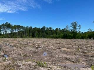 128 Acres of Recreational Land & Farm for Sale in Poyen, Arkansas