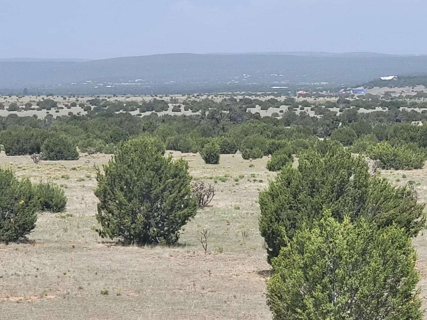 40 Acres of Land for Sale in Estancia, New Mexico