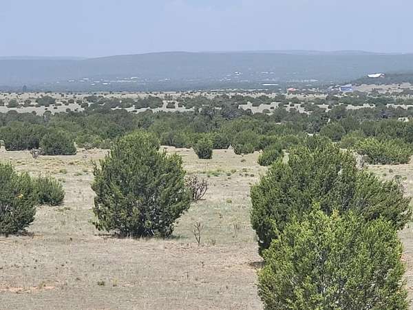 40 Acres of Land for Sale in Estancia, New Mexico