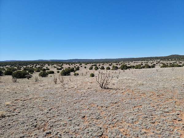 39.9 Acres of Land for Sale in Estancia, New Mexico