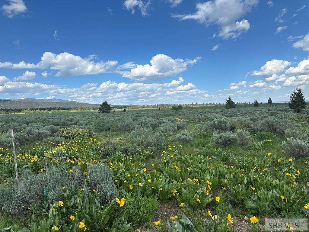 9.24 Acres of Residential Land for Sale in Island Park, Idaho