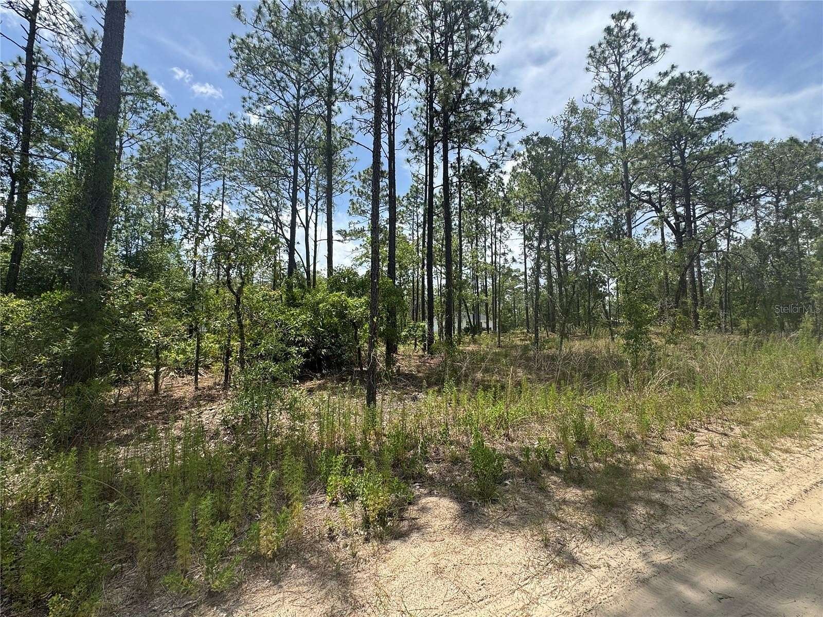 0.24 Acres of Residential Land for Sale in Ocala, Florida