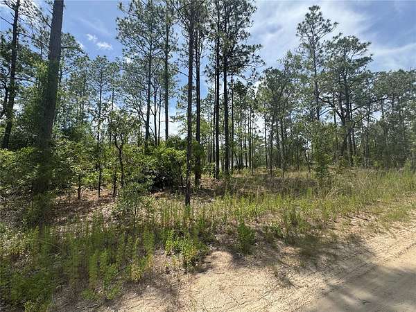0.24 Acres of Residential Land for Sale in Ocala, Florida