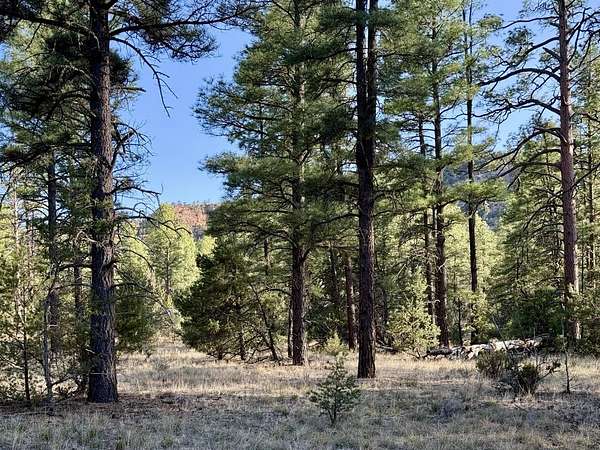 25 Acres of Recreational Land for Sale in Ramah, New Mexico